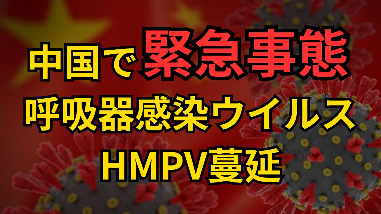 2024年12月26日投稿分サムネ