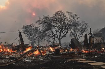 ロス山火事イメージ③