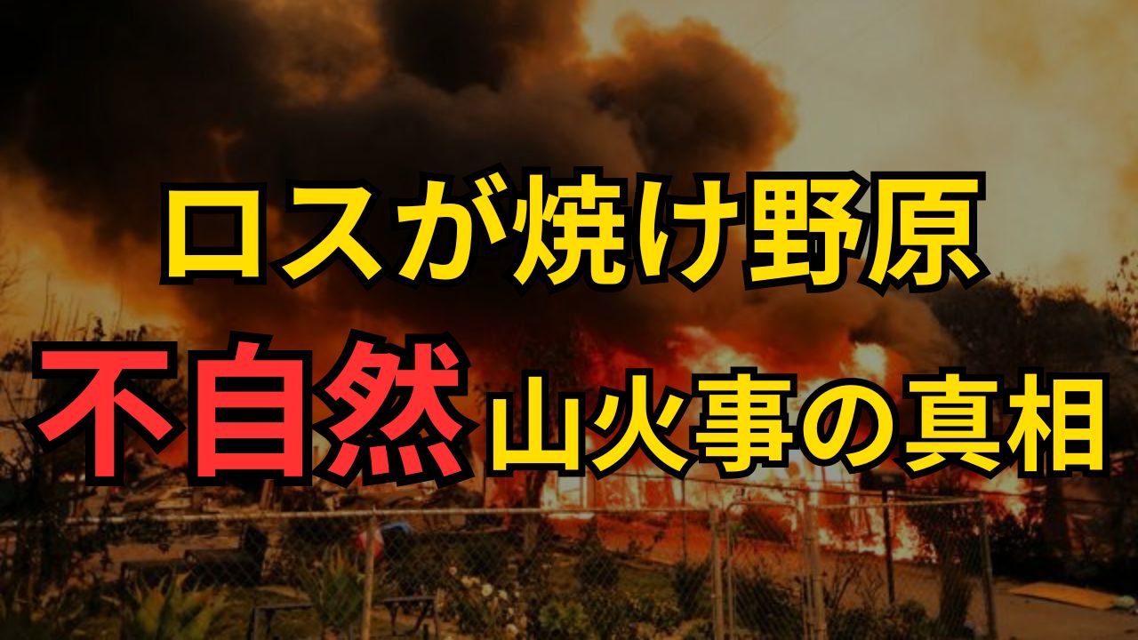 2025年1月11日投稿分サムネ